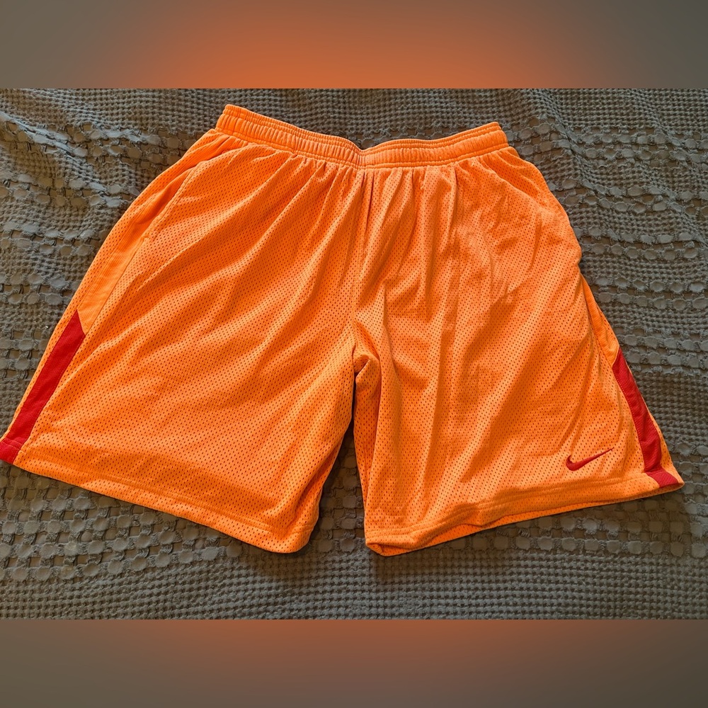Nike Dri-Fit Shorts